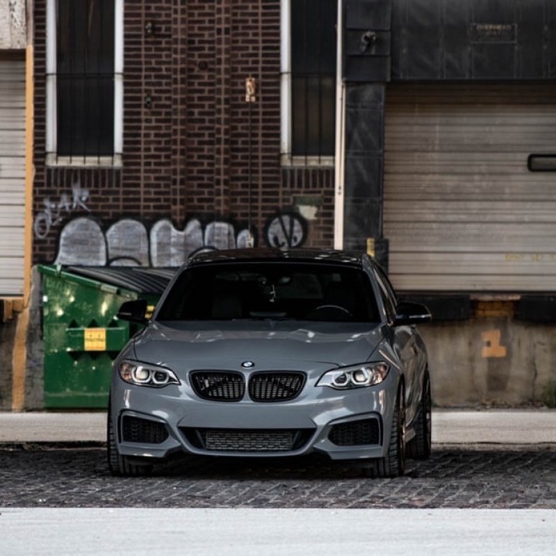 Project_F22's BMW M235i