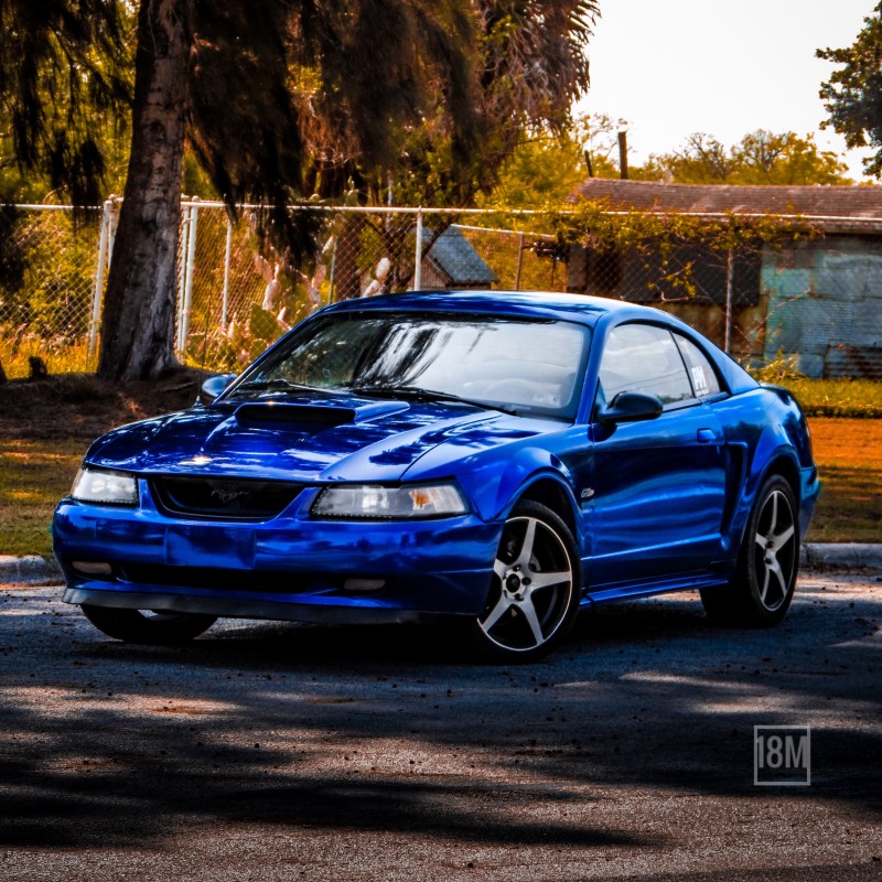 Slowfiesta23's Ford Mustang